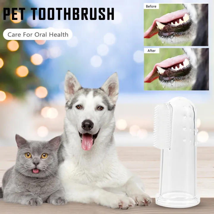 Pet%20Toothbrush%20Toothpaste%20Dog%20Cat%20Finger%20Tooth%20Brush%20Care%20Wholesales%20Pet%20Toothpaste%20-%20Image%203