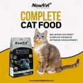 Nourvet Natural's 500 Grams Pack Chicken and Brown Rice Cat Food 0.5kg Pack | High Quality Fresh, Stock/feeds/feed/pet/pets/cats/kitten/kitty/billi/bili/khana/khorak/protein/meal/paw/kilograms/high/top/0.5 kg/Dry Food for cats of all Breeds, UK Product. 