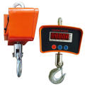 Digital Crane Scale 300KG, Prevent From Falling Heavy Duty Digital Crane Scale Thickened Shell with High Strength Hook for Industrial Mini Electronic Digital Crane Scale,Industrial Precision Electronic Hook Scale,Note random color will be deliver. 
