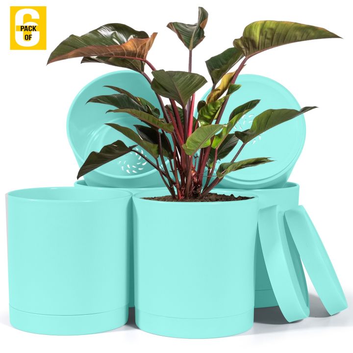 %F0%9F%8C%BF%20Fast%20Forward%206-Inch%20Plastic%20Planter%20Pots%20%E2%80%93%20Cylindrical%20Stylish,%20Durable%20&%20Plant-Friendly%20with%20Drainage%20&%20Seamless%20Saucers!%20-%20Image%205
