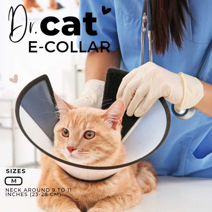 Dr.%20Cat%20E-Collar-%20Pet%20Plastic%20Clear%20Cone%20-%20Image%205