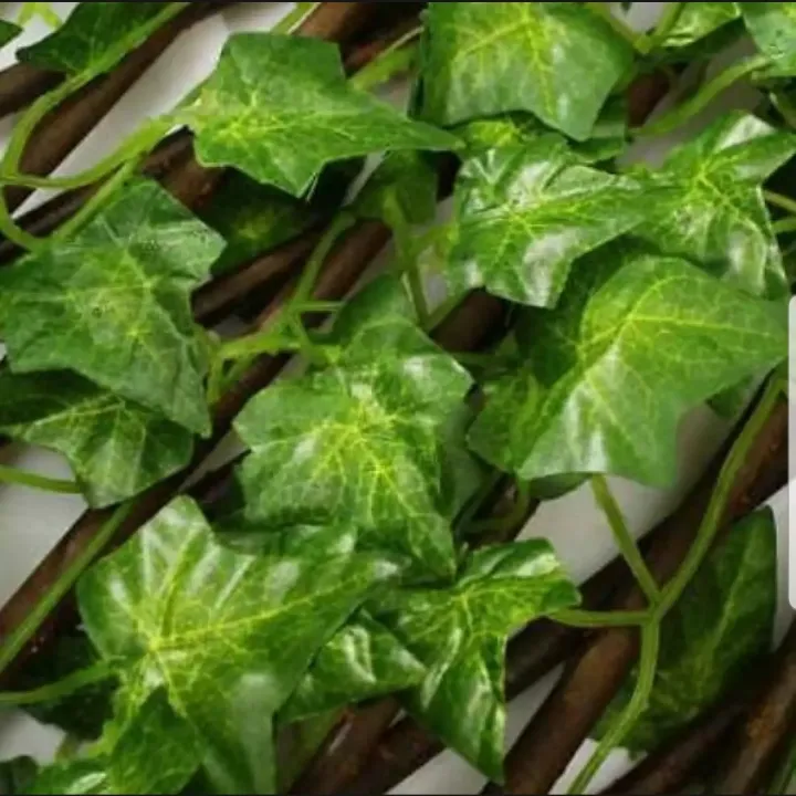 Extension%20Type%20Garden%20Buildings%20Fence%20Artificial%20Green%20Leaf%20Branch%20Bucolic%20Best%20for%20Decoratioin%20%20-%20Small%20-%20Image%204