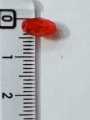 Red Cylinder Cut Acrylic Plastic Beads for DIY Crafts - Pack of 130 Pcs / 15gms - Ideal for DIY Jewelry Making, Jewelry, and Dress Accessories.. 