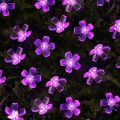 LED Cherry Blossom Lamp Street Garland Wedding Christmas Decoration for Home Festoon Fairy Lampki Led Lights New Year for Garden--Warm White--3m 20Led. 