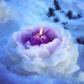 3D large peony silicone candle mold DIY handmade creative flower aromatherapy plaster resin soap making supplies kit home gifts. 