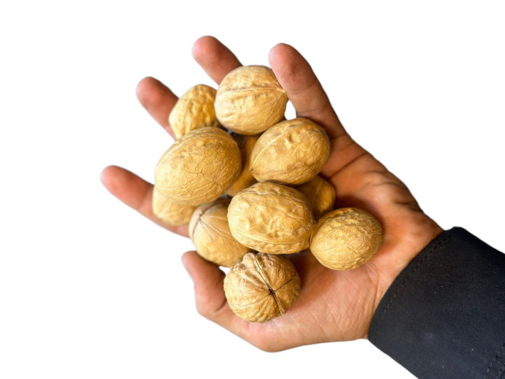 Akhrot Shell Kaghazi Akhrot (soft shell) 100% Original - 1 KG by Hassan zia store ...