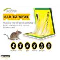 Expert Rat Killer, Mouse Catcher Glue Board, Catch Trap Glue Book Mat Pad, Mouse Catcher Glue Sticky, Mouse Pad Traps, Mouse Catcher, Mice Professional Strength Glue and Foldable Cardboard. 