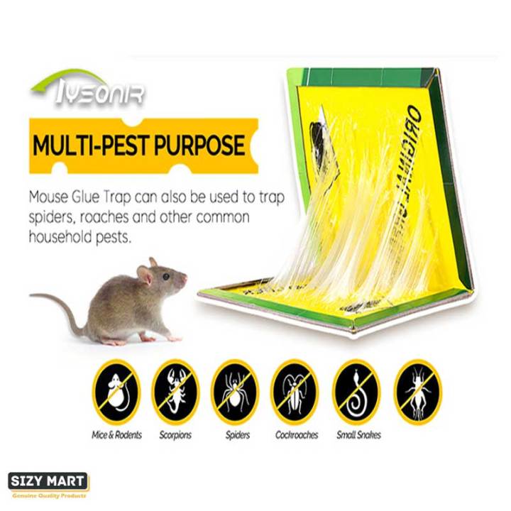 Expert%20Rat%20Killer,%20Mouse%20Catcher%20Glue%20Board,%20Catch%20Trap%20Glue%20Book%20Mat%20Pad,%20Mouse%20Catcher%20Glue%20Sticky,%20Mouse%20Pad%20Traps,%20Mouse%20Catcher,%20Mice%20Professional%20Strength%20Glue%20and%20Foldable%20Cardboard%20-%20Image%204