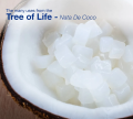 Nata De Coco Coconut Food Contain 100 % Nutrition And fibre Nata de coco is used in food products such as low-calorie desserts, salads, and high-fiber foods 439 Gram ( Pack of 6 ). 