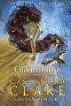 the last hours chain of iron by cassandra clare book (Urdu Bazar). 