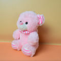 Cute Looking Teddy with Pink Stripe. Soft and Plush Small teddy Bear.. 
