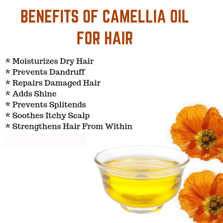 Camellia%20seed%20Oil%20%7C%20Camellia%20Tea%20Seed%20Oil%20%7C%20Japanese%20ORGANIC%20CAMELLIA%20Seed%20Oil%20%7C%20Pakistan%20Pansar%20-%20Image%204