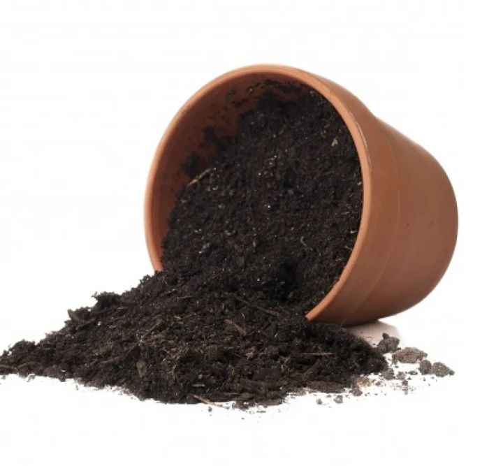 Organic%20Potting%20soil%20mix%20%7COrganic%20Potting%20mix%20%7C%20Organic%20Plant%20Soil%20%7C%20Soil%20Less%20Potting%20Soil%20Mix%20%7C%20for%20Plants%20,%20Soil%20substitute%20,%20Organic%20Potting%20Mixture%20100%25%20Natural%20Premium%20Soil%20%20available%20in%200.5%20kg%20,%201Kg,%202kg,%203kg%20-%20Image%204