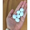 (9 or 18 Pcs) Artificial Plastic Eggs - Dummy eggs of Bird - Bird's Egg Size Plastic Hollow Shell. 