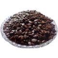 Desi Kikar - Vachellia Nilotica Acacia - Babool Tree Seeds. 