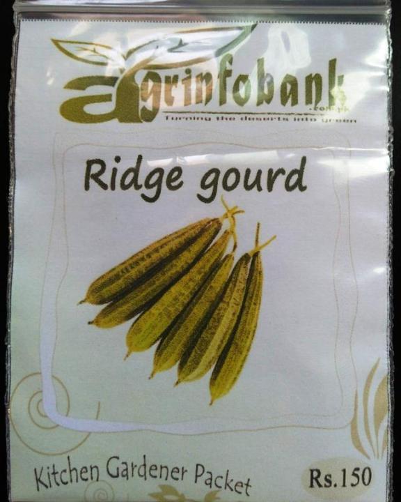 Ridge%20gourd%20seeds%20for%20kitchen%20gardeners%20-%20Image%204