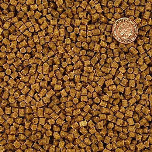 Sinking Wheatgerm Pond Pellets - Winter Fish Food Koi Goldfish Tench Sturgeon (1kg)