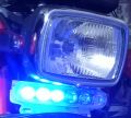 Dolphin Light Flasher For Car Bike Motorbike Motorcycle. 