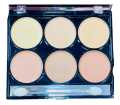 6-In-One Concealer Palette. 