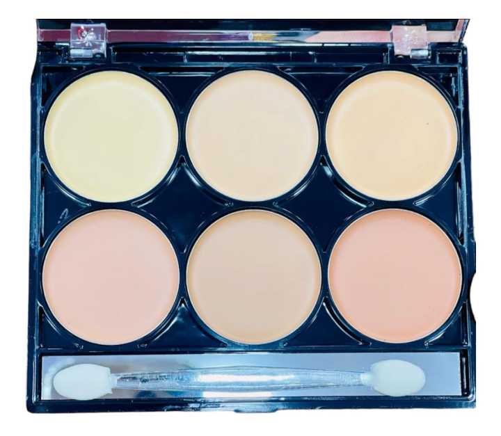 6-In-One Concealer Palette