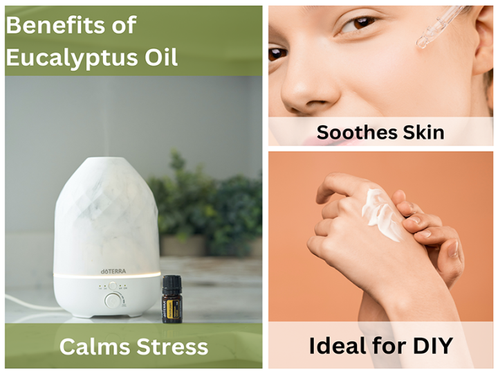 Eucalyptus%20Essential%20Oil%20-%20100%25%20Pure%20Therapeutic%20Grade%20Eucalyptus%20Oil%20Essential%20Oils%20for%20Diffuser,%20Skin,%20Humidifier,%20Sinus%20&%20Hair%20-%20Image%208