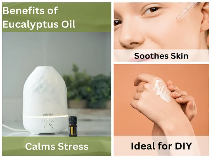 Eucalyptus%20Essential%20Oil%20-%20100%25%20Pure%20Therapeutic%20Grade%20Eucalyptus%20Oil%20Essential%20Oils%20for%20Diffuser,%20Skin,%20Humidifier,%20Sinus%20&%20Hair%20-%20Image%208