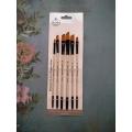 6 Pcs Professional Angular Paint Brush Water Color Oil Acrylic Artist Paint Brush - High Quality Brushes. 