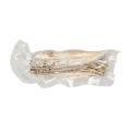 Freeze Dried Fish, Vacuum Capelin Freeze Dried Fish Snacks for Cat. 