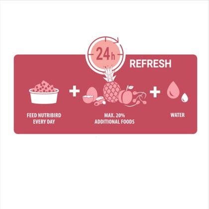 NutriBird%20B-18%20Breeding%20Food%20for%20Budgies%20&%20Small%20Parakeets%20-%20Breeding%20food%20for%20budgies%20and%20other%20small%20Parakeets%20%20(VerseleLaga%20Belgium)%20-%20Image%205