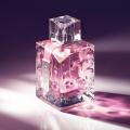 Loonkom Ambilight Pink Perfume For Women - EDP - 100ml. 