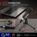 FIFINE K669D XLR Dynamic Microphone Cardioid Pattern Vocal Podcast Microphone Metal Mic for Broadcast/Dubbing/Video Recording. 