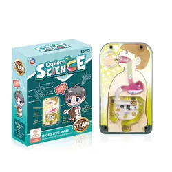 Oem%20More%20Biological%20Model%20Teaching%20Aids%20Human%20Skeleton%20Organs%20Science%20Learning%20Kit%203D%20Anatomy%20Human%20Body%20Toy%20-%20Image%207