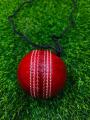Leather Cricket Hanging Cricket Ball. 