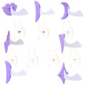 9Pcs Bikini Privates Shaving Stencil Set Female Pubic Hair Trimmer Shaver. 