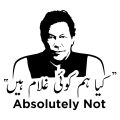 Imran khan Absolutely Not Urdu plastic Reusable Stencil wall Sticker Amazing Design For Wall 18x18 inches. 
