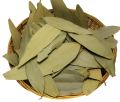 Tez Patta / Bay leaf 25g, 50g, 100g, 250, 500g & 1kg. 