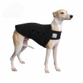 Cute Naughty Whippet Tummy Warmer Dog Vest Motorcycle Car Stickers Waterproof Anime Decals Vinyl Material Decoration13x12.7cm. 