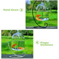 Vase Fishbowl Transparent Hanging Glass Creative Decor Fish Tank for Living Room. 