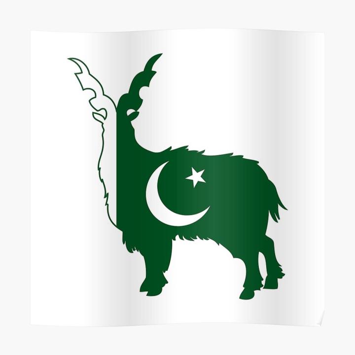 Size :  1 x 1 Feet - Pakistan Flag National Animal Markhor self adhesive Wall and Car Stickers vinyl decal for kids, boys, girls, school ,office, Patriot , school, class, Cars, forces, Home and Decor Lovers - Green White- lucky garnet