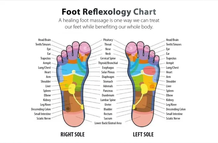D%20Queen%20SPA%20(Foot%20and%20Calf%20massager)%20Best%20Quality%20Product%20-%20Image%206