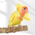 Parrot Anti Bite Collar, Parrot Neck Protective Collar, Anti Grab Feather Plucking, Breathable for. 