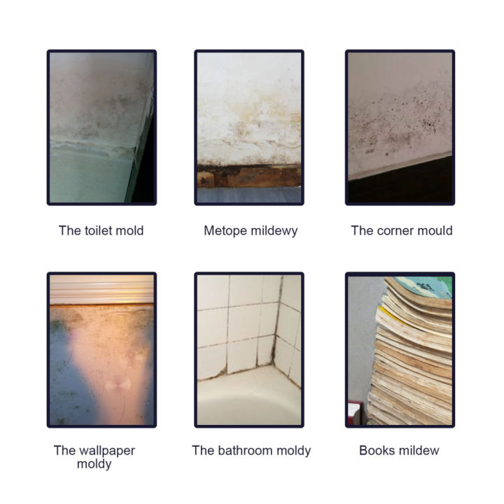 Root%20From%20Mold%20Remover%20Spray%20Anti-Mildew%20Spray%20Furniture%20Tile%20Mold%20Wall%20Wall%20Cleaner%2060ML%20-%20Image%206