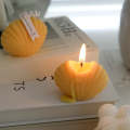 Mini Seashell Scented Candle Set of 2 Coastal Decor Home Fragrance. 