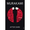 After Dark Novel by Haruki Murakami. 