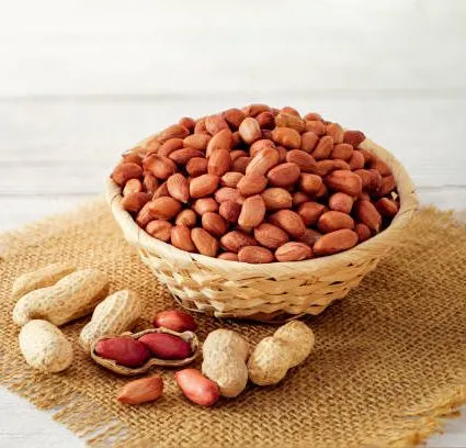 Raw Peanuts Without Shell Peanut 250g – Moong Phali Dana– Premium Quality Roasted Peanuts without ...