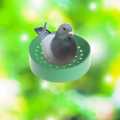 VIP Deals High Quailty Birds Nest Bowl For Pigeons. 