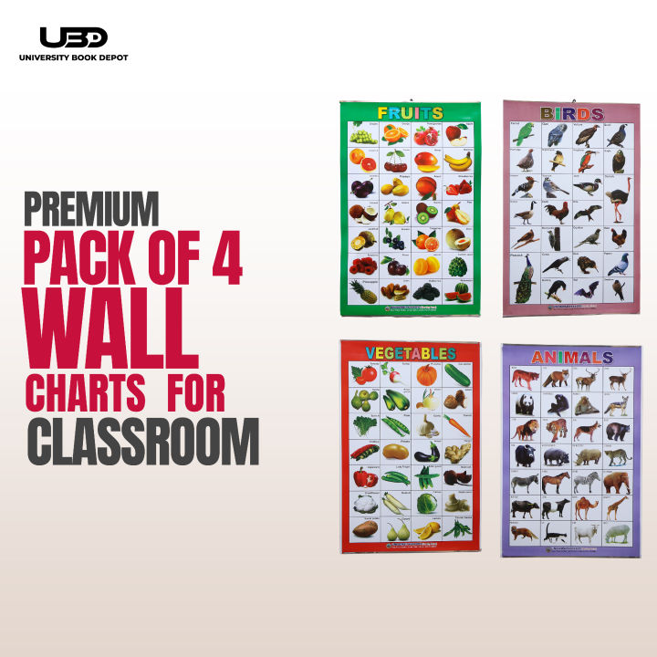 Pack of 4 Wall Charts for Classrooms and Preschool Decoration | Wall Posters For Kids Early Education with HD Pictures on 200 grams Laminated Card 20*30 inches
