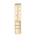Baby Food - NESTLE CERELAC Yellow Fruits 175g. 