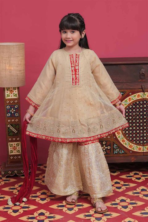 white christmas dresses EMBROIDERED MASURI CH12-04 – Qamaash main image 1