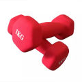 1 KG Pair Matte Coated Dumbbell Set Yoga Fitness Exercise Training Weights Red Color. 